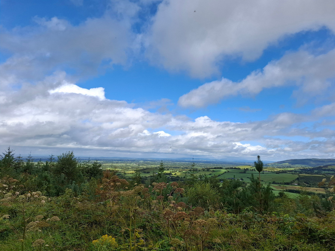 Ballyhoura Mountain Bike Trail-Kilmallock必去景点