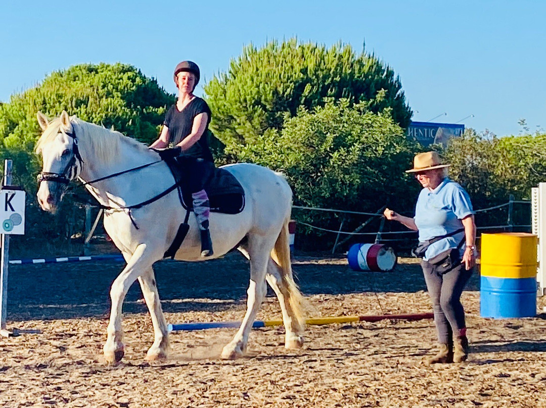 Pinetrees Horse Riding景点图片
