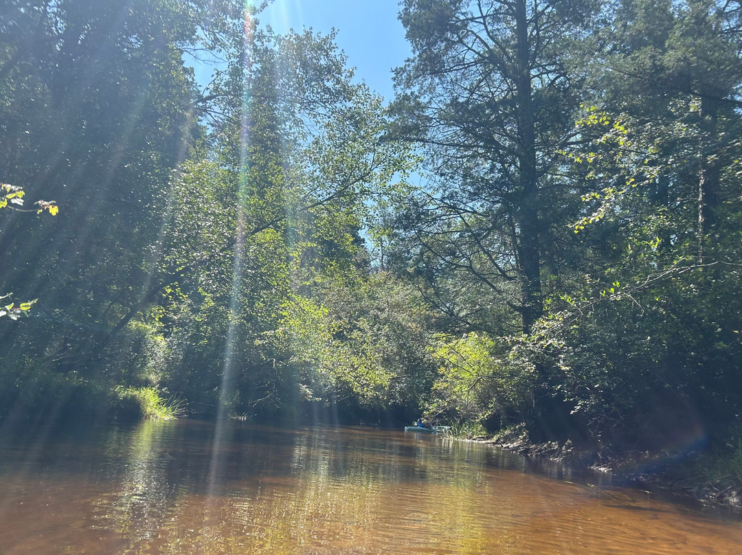 Pinelands Adventures景点图片