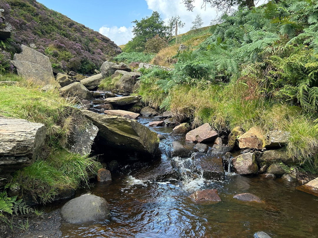 Bronte Waterfall景点图片