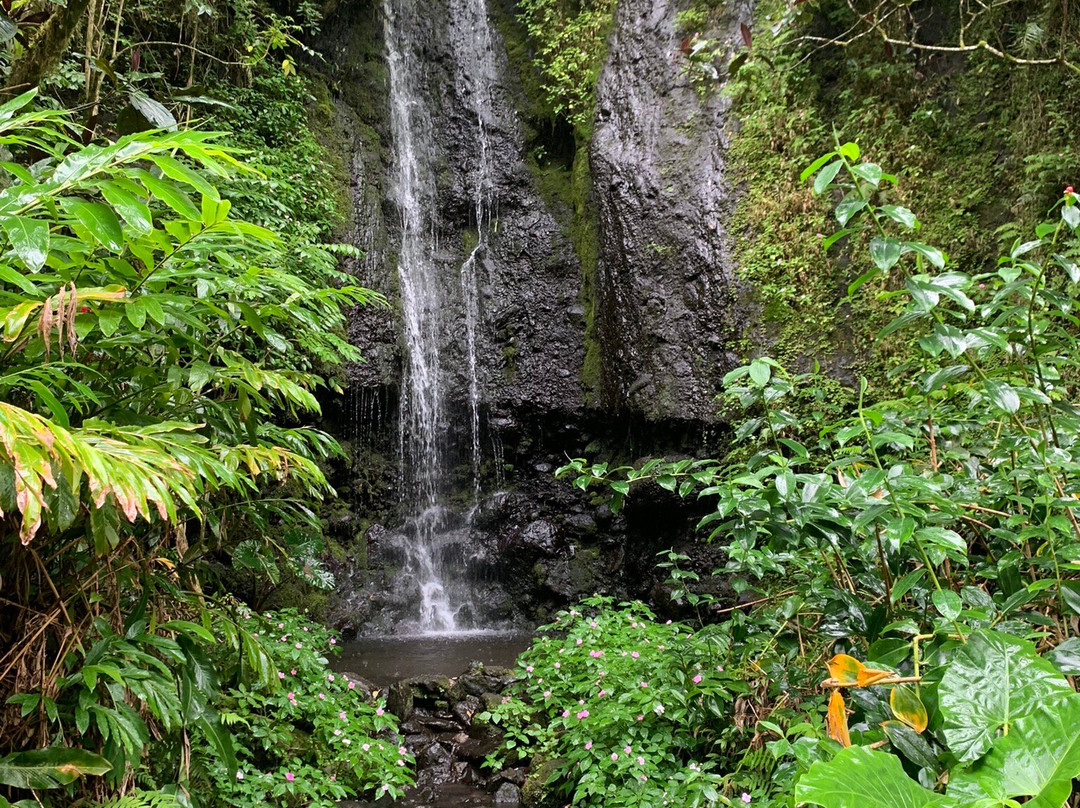 Vaihiria Quad Tahiti-Mataiea必去景点