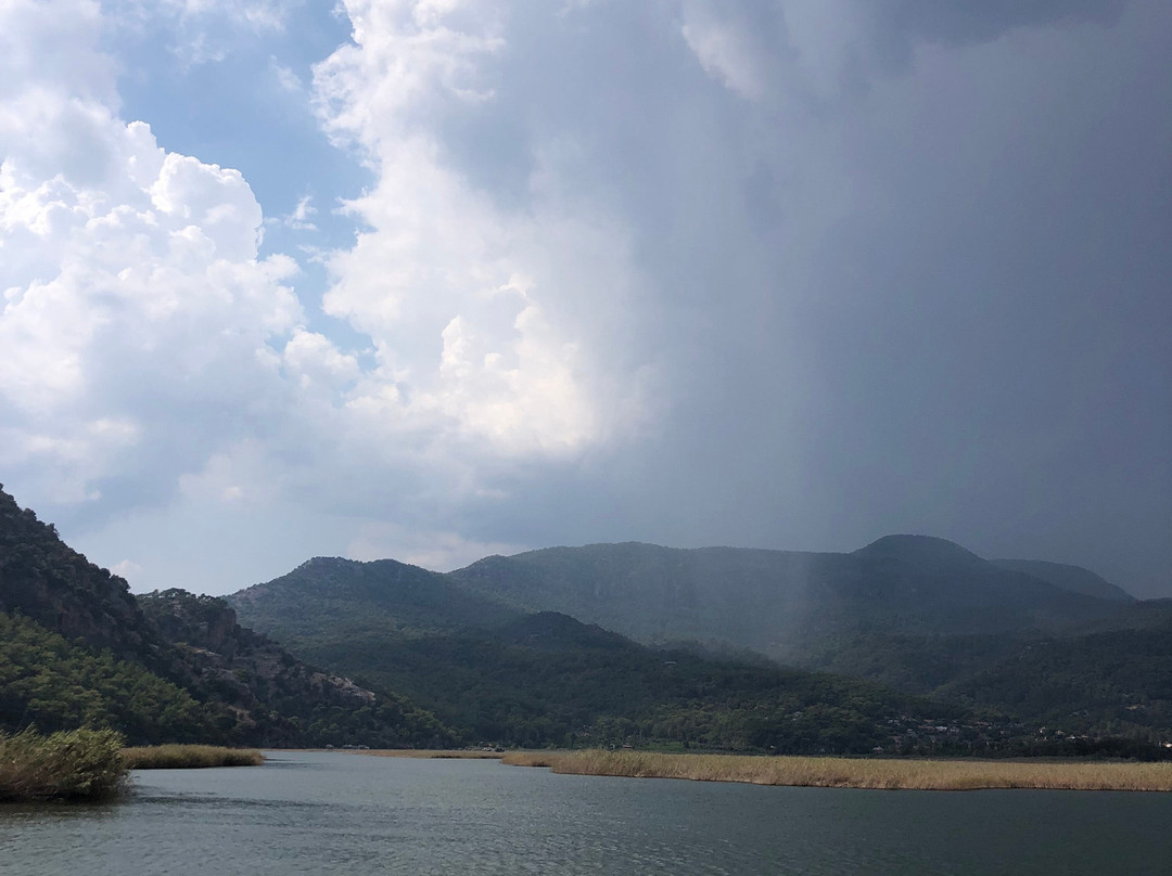 Dalyanlı Boat Tours-达利安必去景点