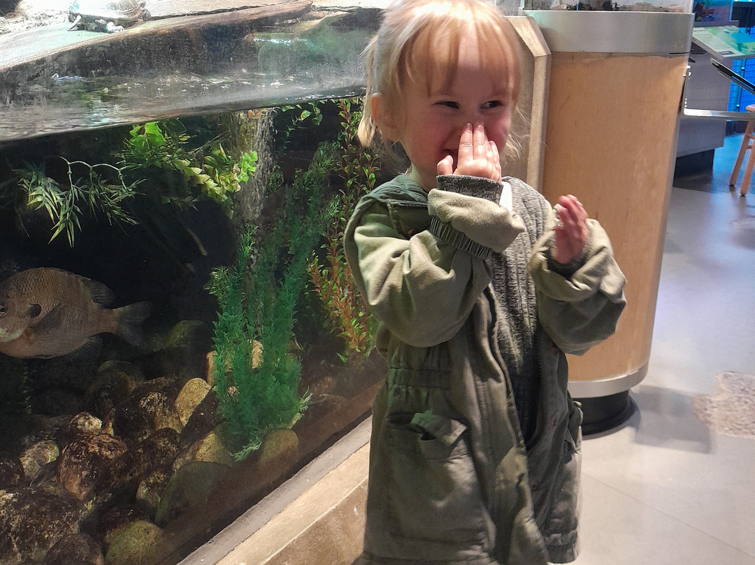 尚普兰湖回声莱希中心-伯灵顿必去景点