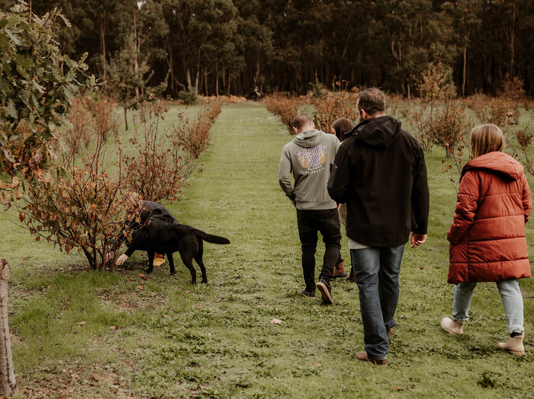 The Margaret River Truffle Farm景点图片
