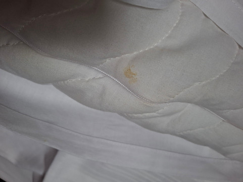 Premier Inn Rotherham East主图