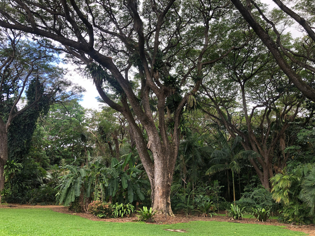 Townsville Palmetum-汤斯维尔必去景点