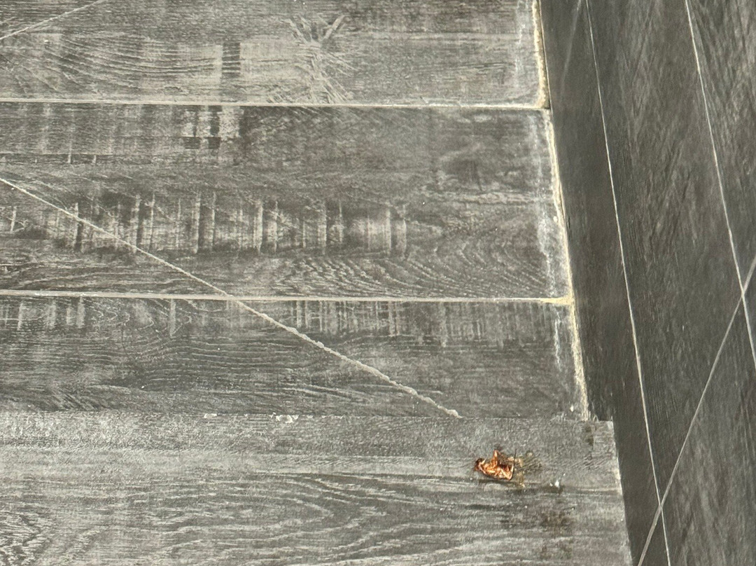 Morra's Home B&B主图