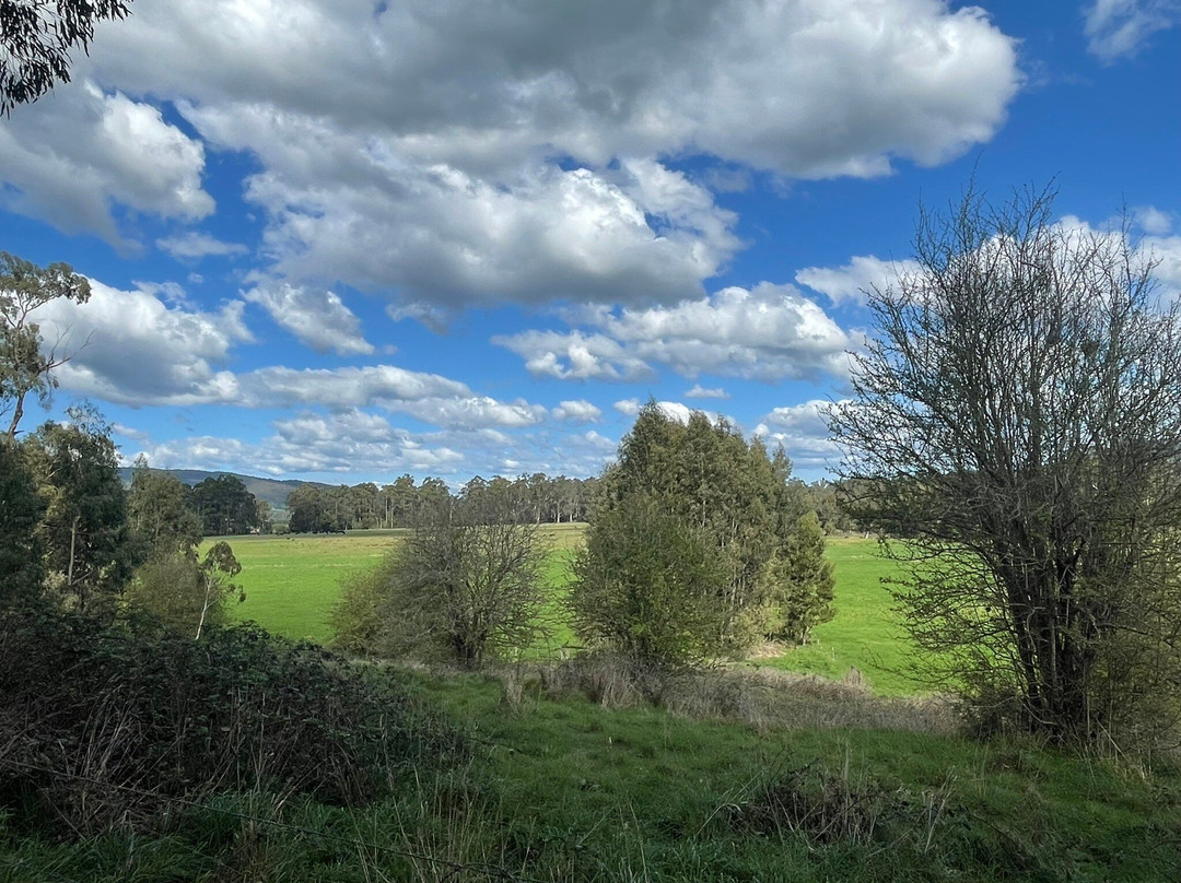 Coranderrk Aboriginal Cemetery And Barak Monument-希尔斯维尔必去景点