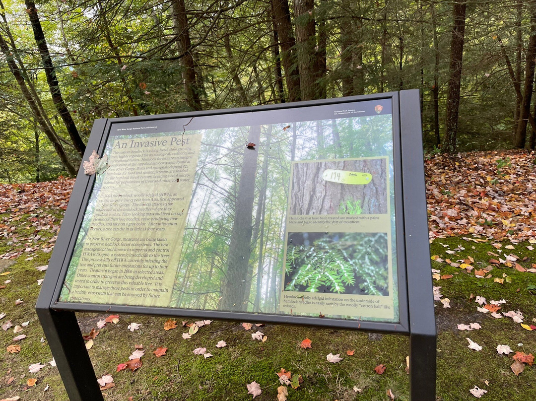 Sandstone Visitor Center-Sandstone必去景点