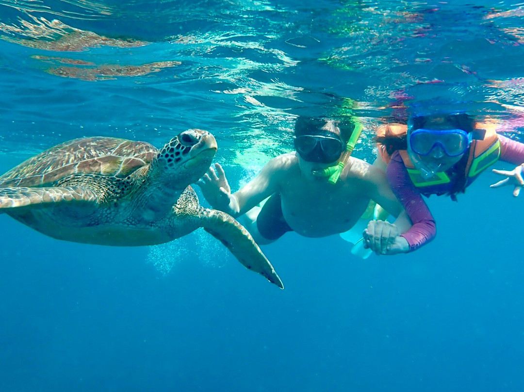 Komodo Trekker-Labuan Bajo必去景点