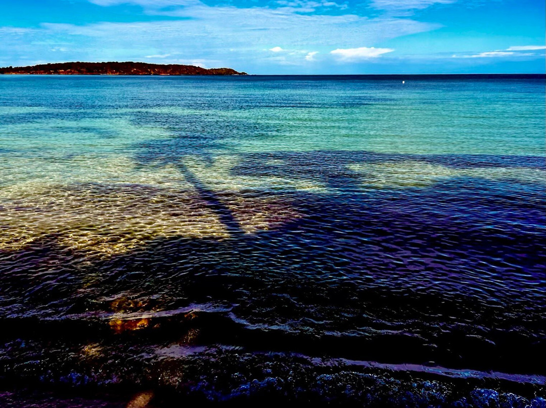 Playa Seven Seas-Las Croabas必去景点