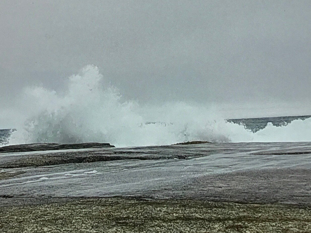 Baccaro Point Lighthouse景点图片
