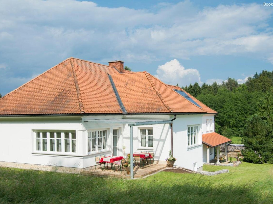 Haus Steirer am Kaiserwald主图