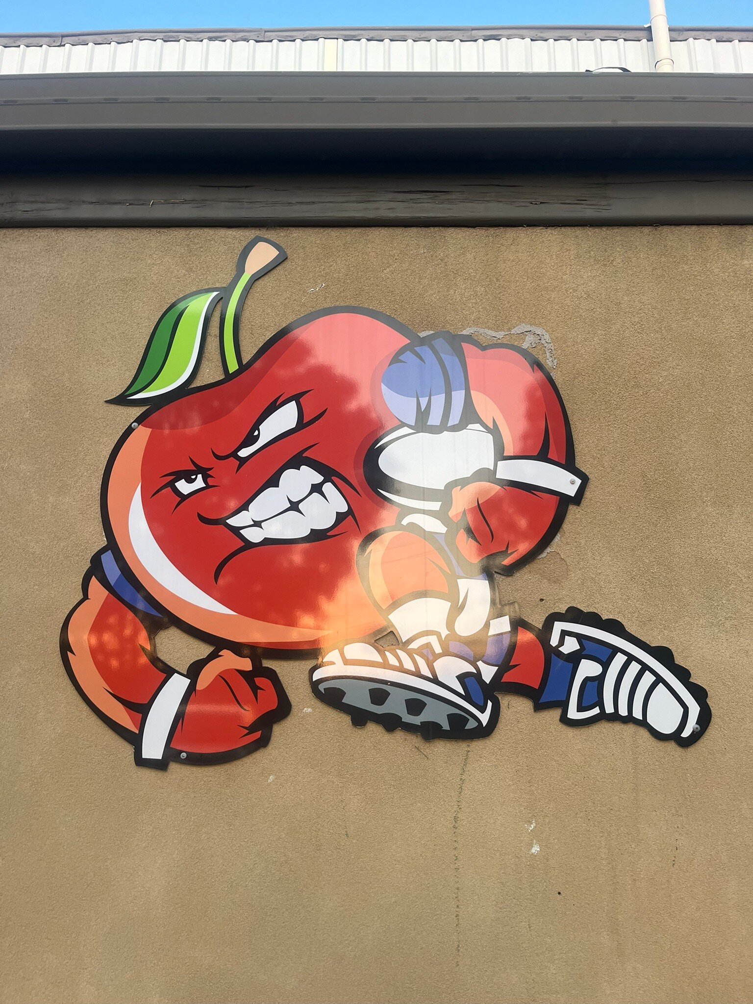 Cherry Blossom Motel-官方