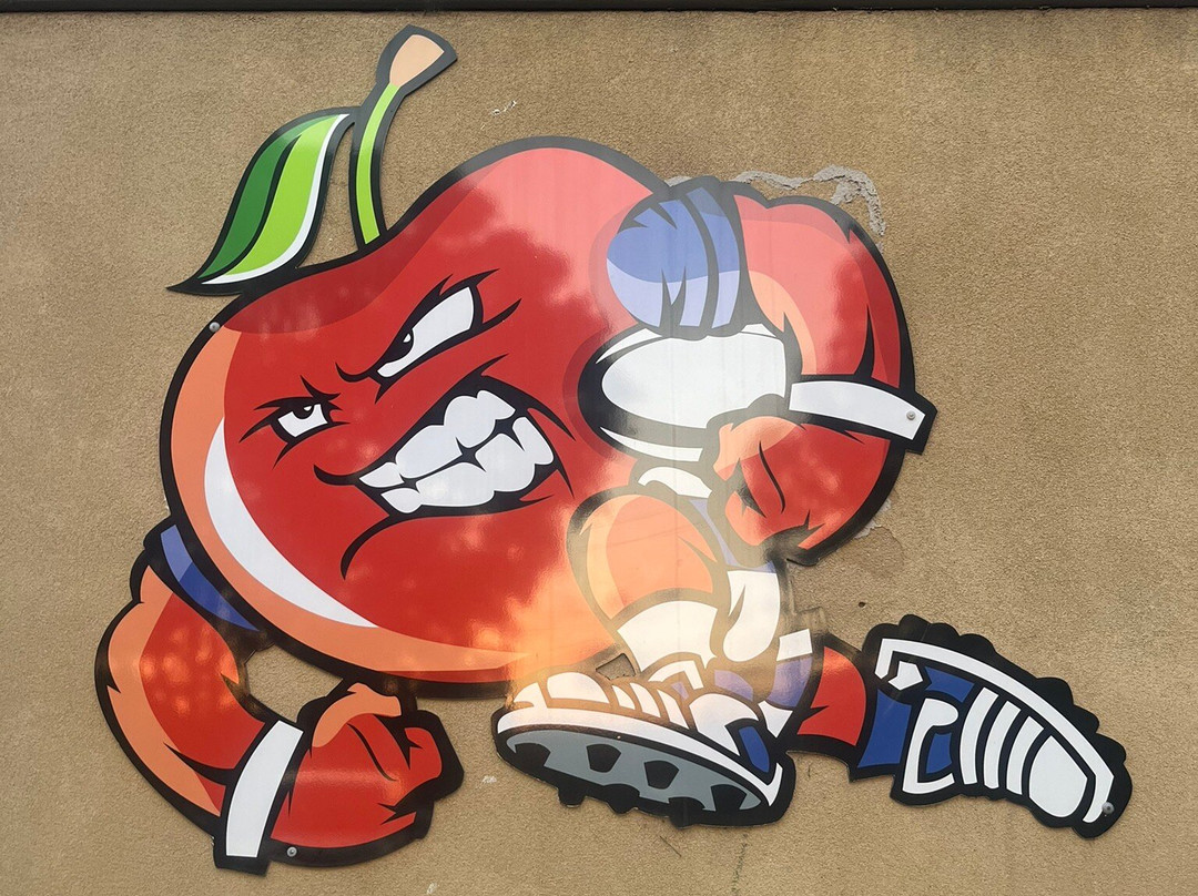 Cherry Blossom Motel主图