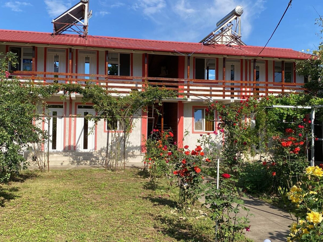 Elly Costinesti House