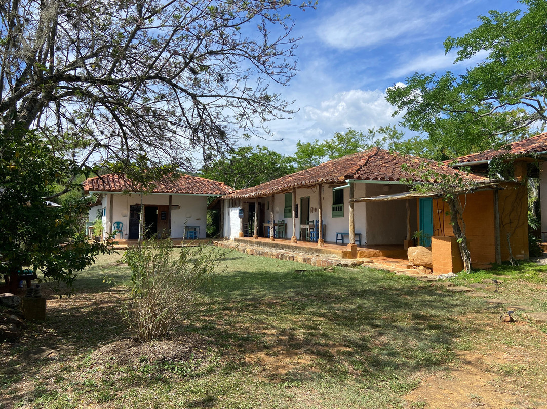 Finca San Pedro主图