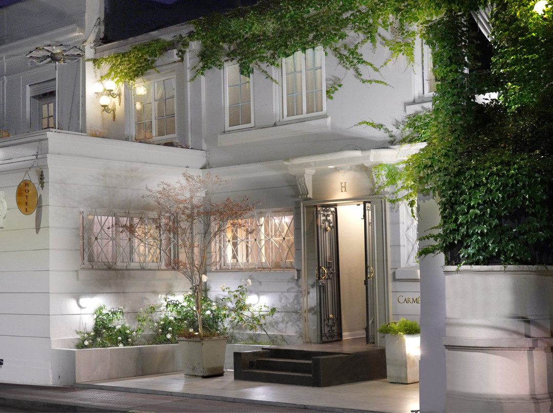 Carménère Hotel主图