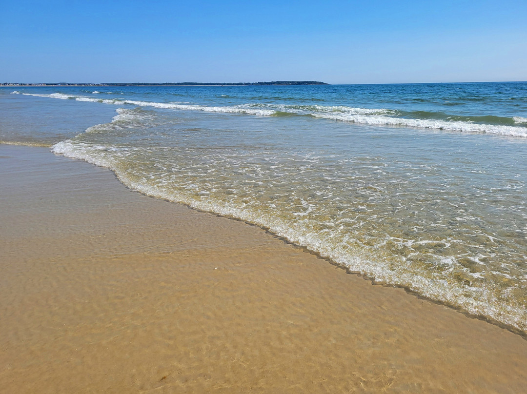 The Holiday House Inn主图