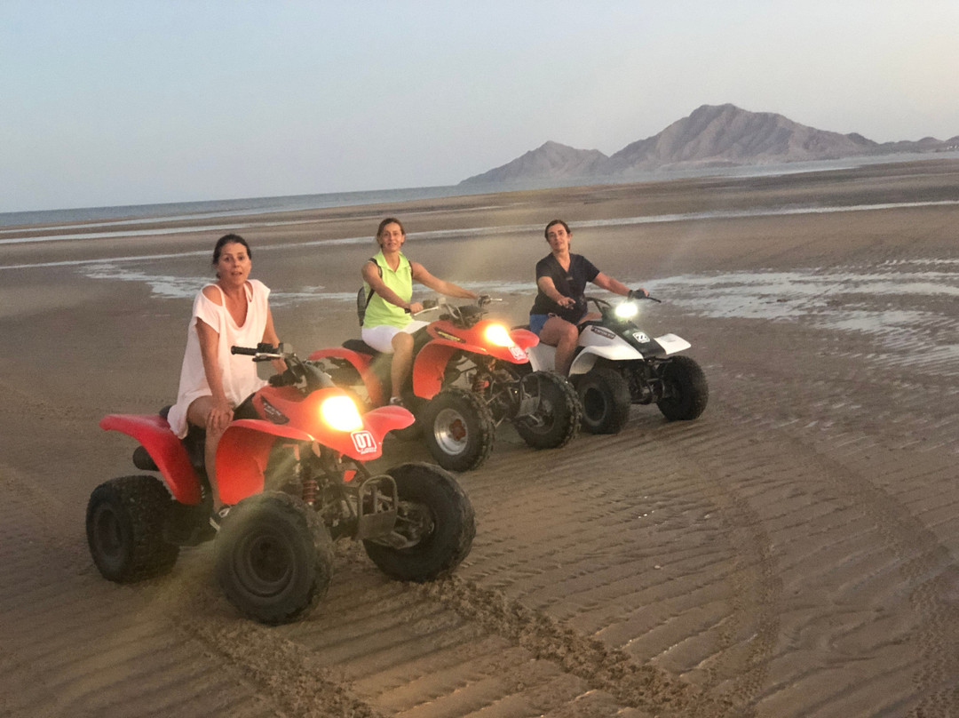 Las Palmas Hotel主图