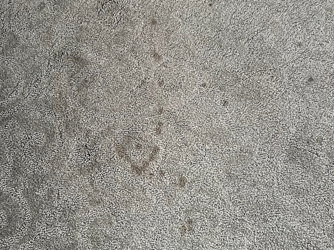 The English Inn主图