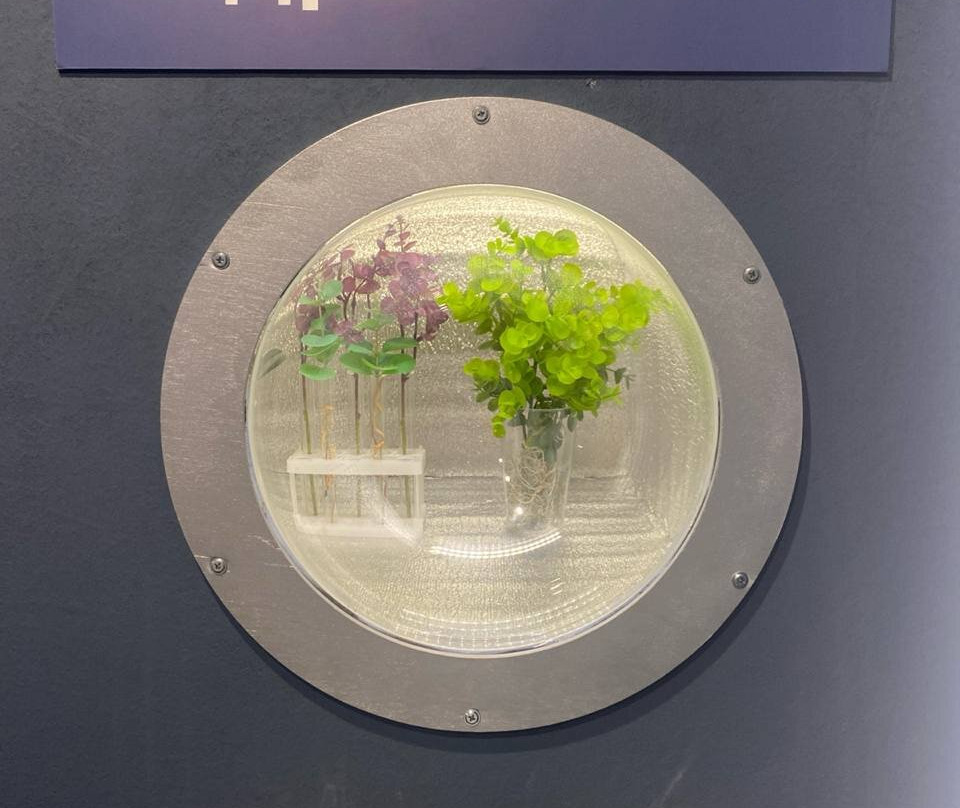 Museum of Interactive Science Quarks景点图片