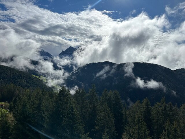 Forestis Dolomites主图