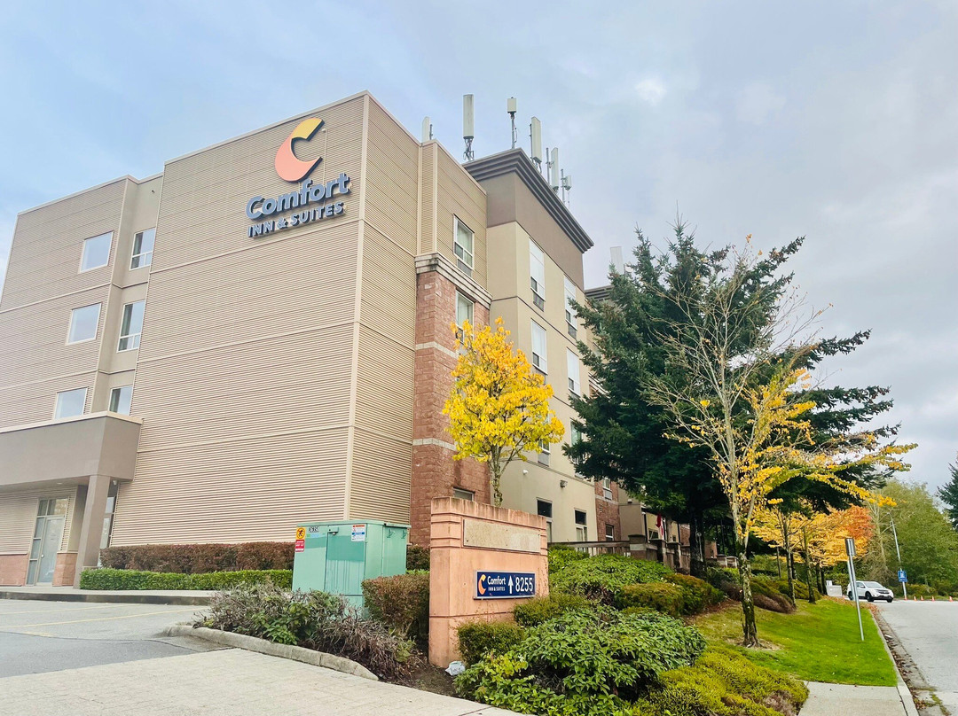 Comfort Inn & Suites Surrey主图