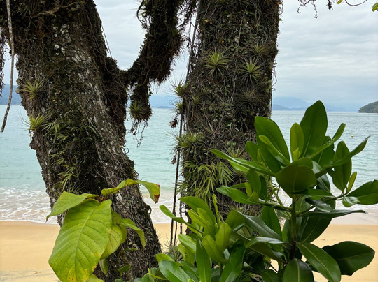 Atlântida Aqua-Turismo-乌巴图巴必去景点