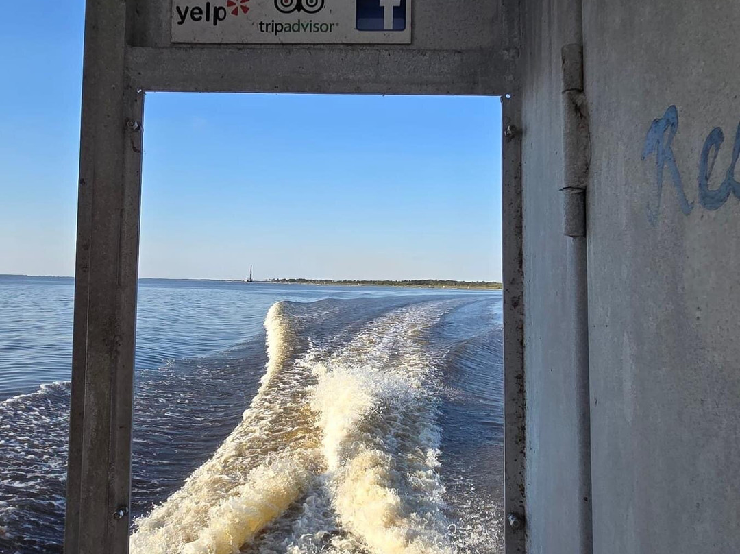 New Orleans Swamp Tours景点图片