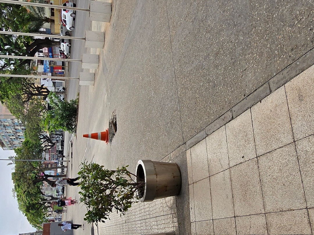 Aparthotel Tropicana主图