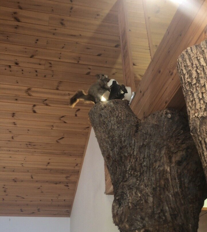Shikanoyu-鹿追町必去景点