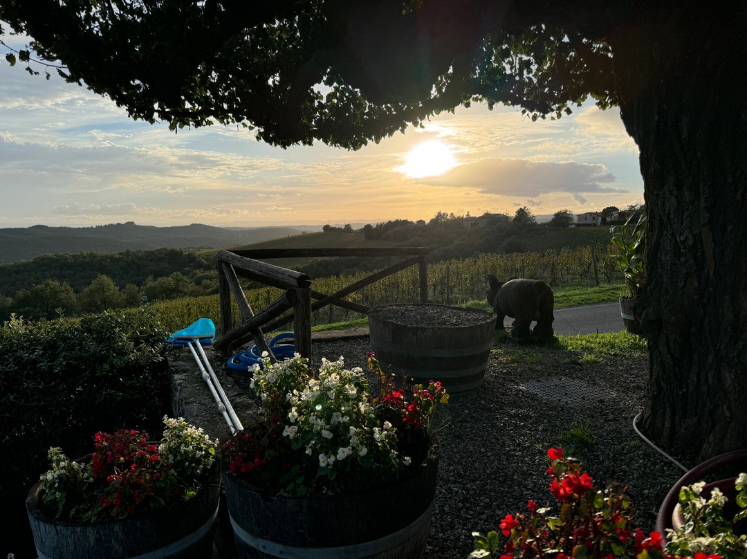 Cantalici Winery-加约莱因基安蒂必去景点