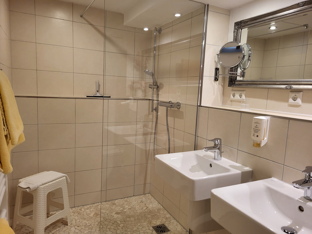 荷恩加斯特霍夫格鲁纳鲍姆酒店主图