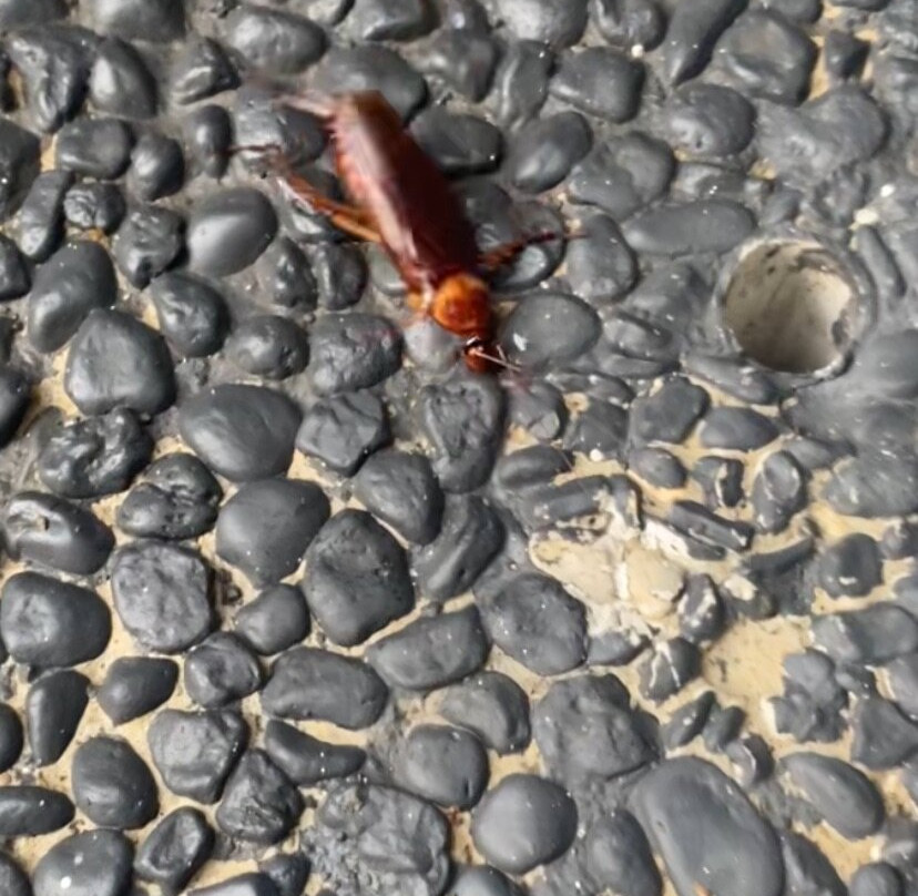 巴厘维拉酒店主图