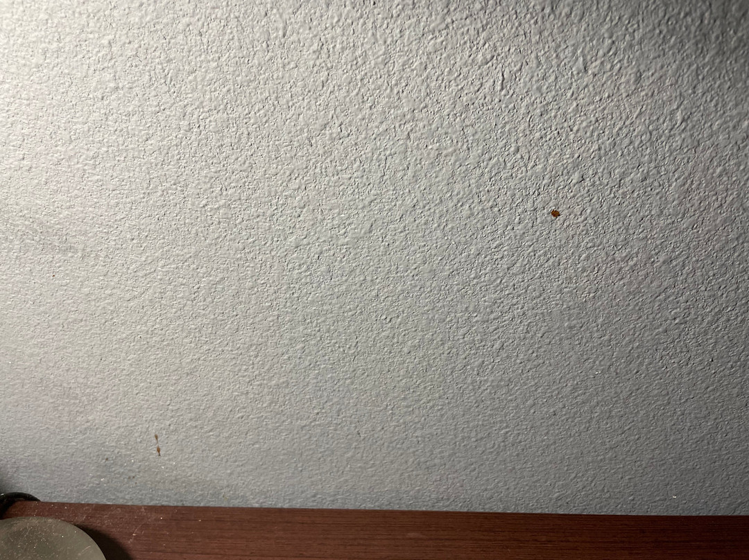 博柔温德姆花园酒店主图