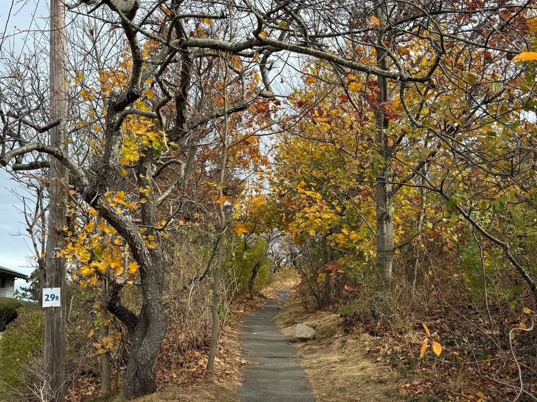 The Headlands景点图片