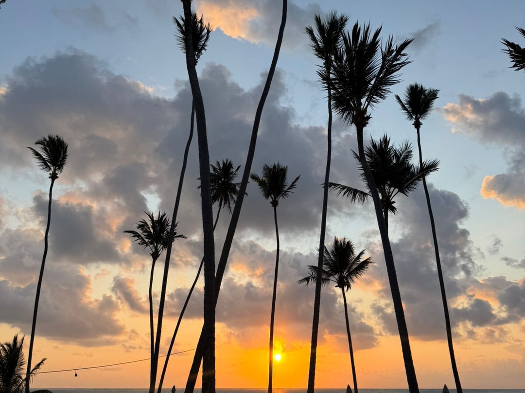 Casa Brasileira - Hotel Galeria主图