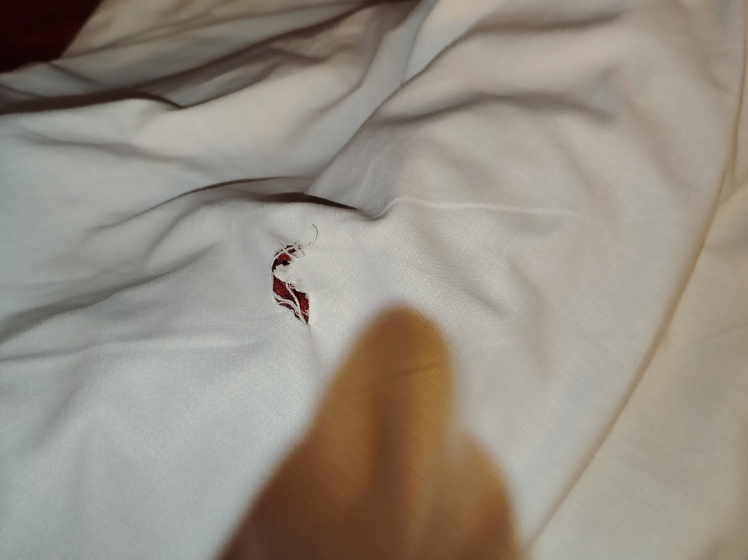 阿维尼翁公园博览会普瑞米尔经典酒店主图