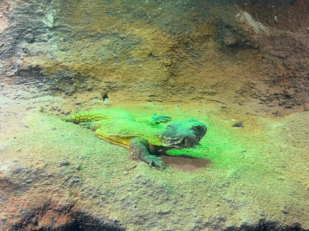 Tropicarium Park景点图片