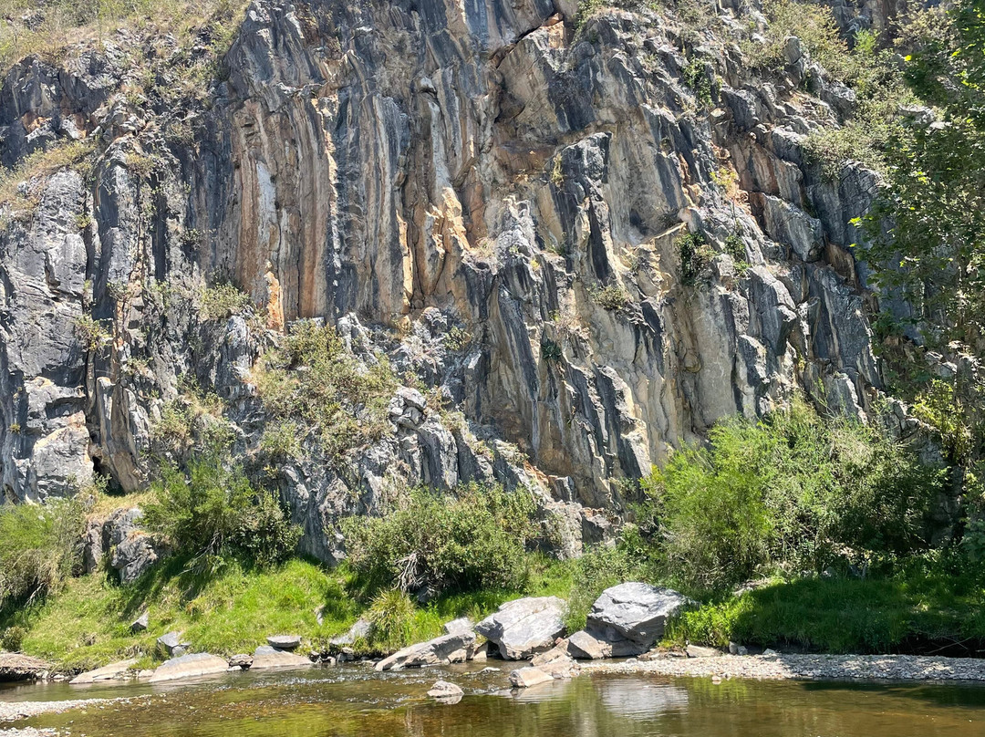 The Bluff Reserve景点图片