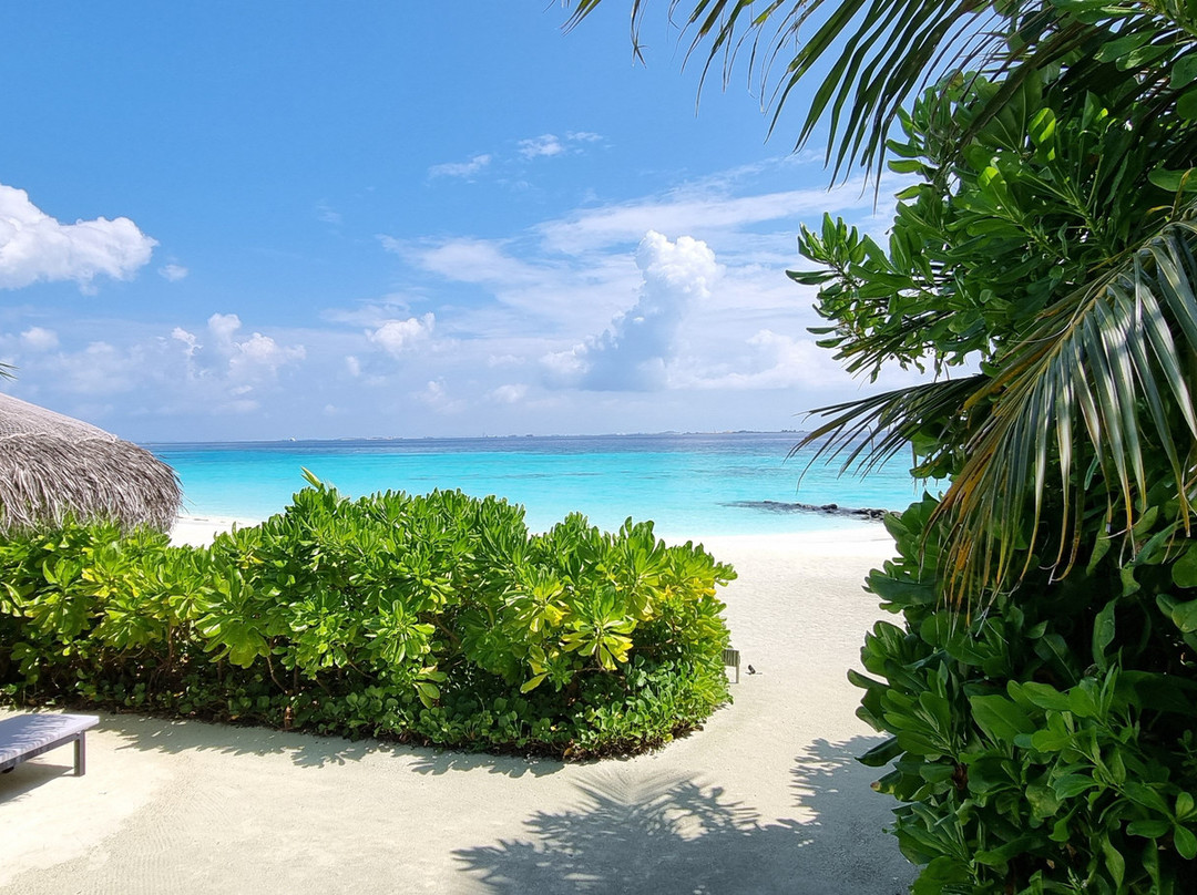 Hilton Maldives Amingiri Resort & Spa主图