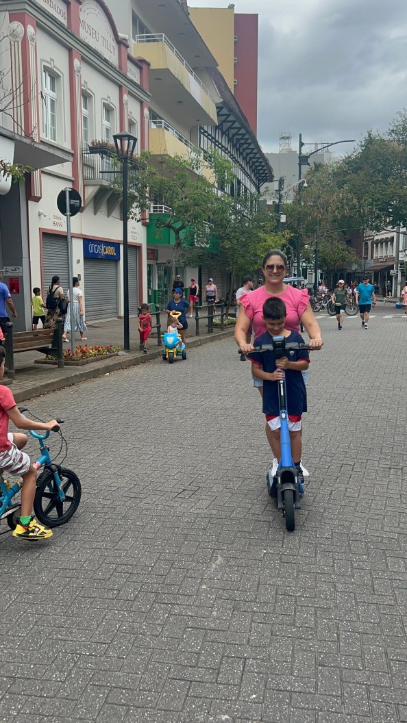 宜必思布卢梅瑙酒店-官方