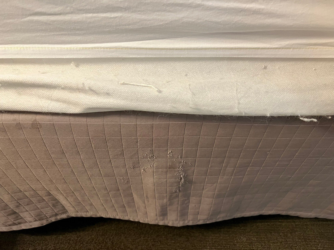 Hampton Inn & Suites Syracuse/Carrier Circle主图