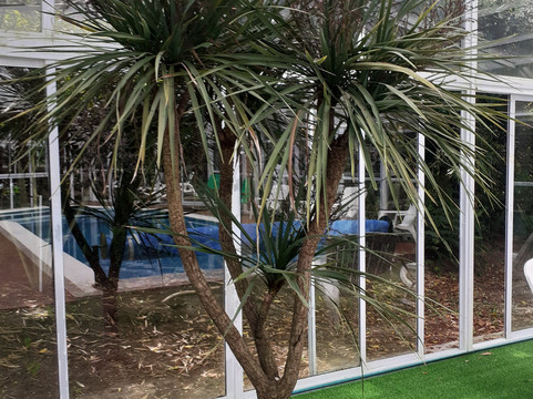 Oasis Apart Spa En Las Gaviotas主图