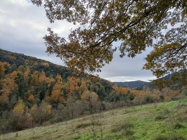Sorgente ipotermale Bollori e Putizza-Gambassi Terme必去景点
