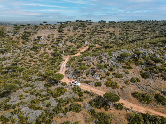Destination Socotra-索科特拉岛必去景点