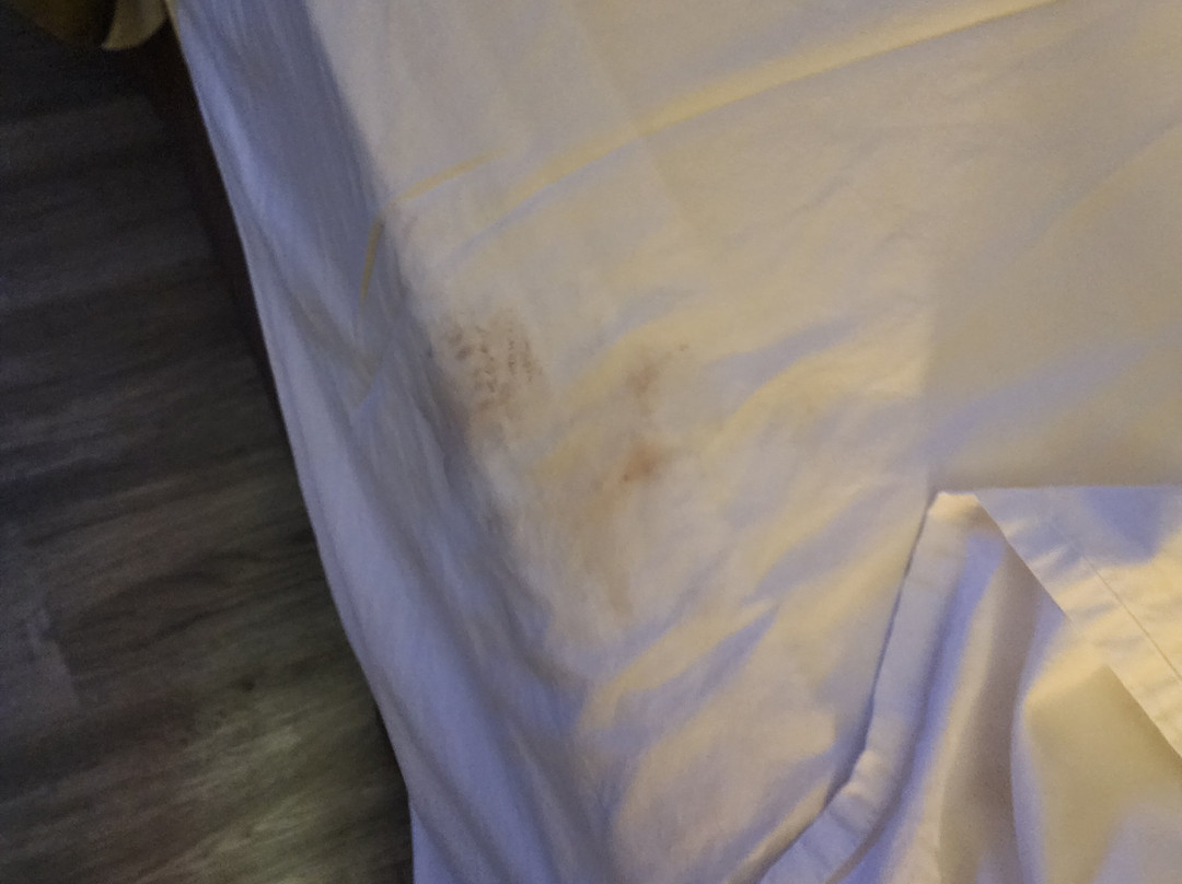 Burgundy Inn & Suites By OYO El Paso主图