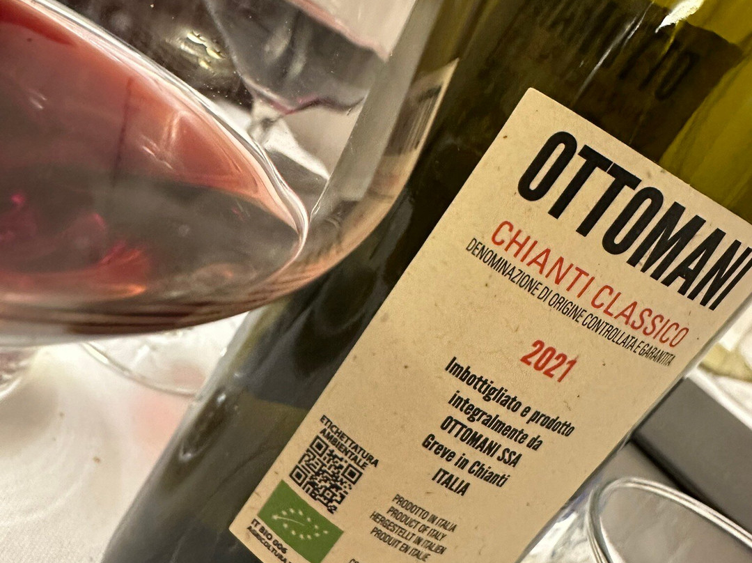 艾尔伯格吉欧瓦尼大维拉萨诺酒店主图