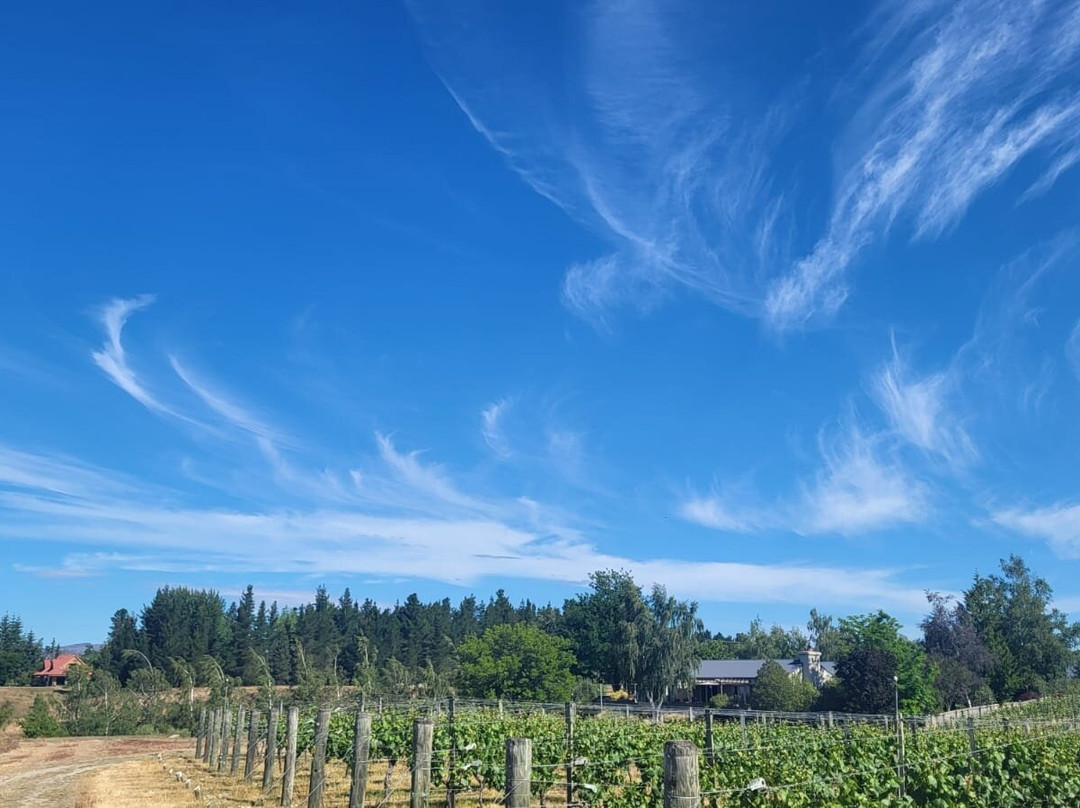Grey Ridge Vineyard Experience